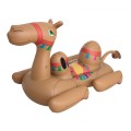 Camel 41125
