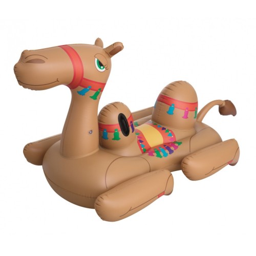 Camel 41125