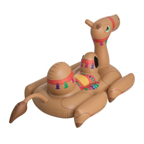 Camel 41125