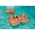 Camel 41125