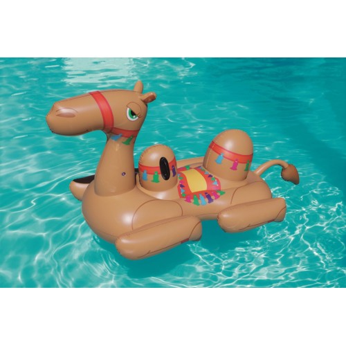 Camel 41125
