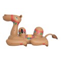 Camel 41125
