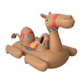 Camel 41125
