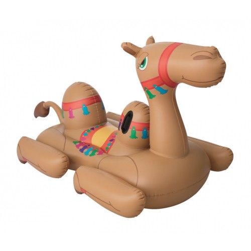 Camel 41125