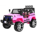 Vehicle NEW Raptor DRIFTER 4 x 4 Pink