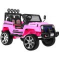 Vehicle NEW Raptor DRIFTER 4 x 4 Pink