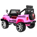 Vehicle NEW Raptor DRIFTER 4 x 4 Pink