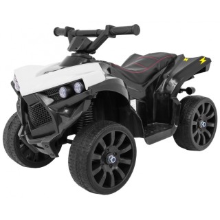 Vehicle Quad NAVI White