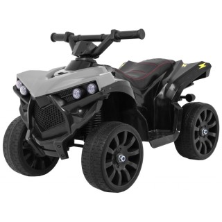 Vehicle Quad NAVI Grey