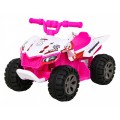 Vehicle Quad THE FASTEST Pink