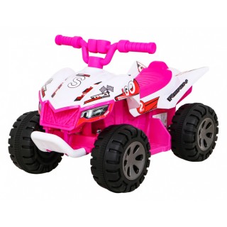 Vehicle Quad THE FASTEST Pink