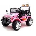 RAPTOR vehicle Drifter Wheels EVA 2 4 Pink