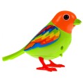 Bird DigiBird Orange Green