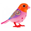 Bird DigiBird Orange-Pink