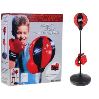 Boxing training set