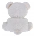 Teddy Bear With World Sounds Function