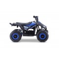 Quad E-STAR vehicle Blue
