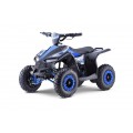 Quad E-STAR vehicle Blue