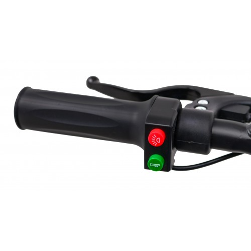 Quad E-STAR vehicle Green