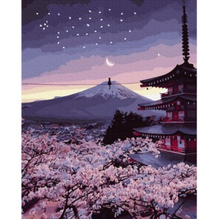 Painting by numbers 40x50 Evening in Japan