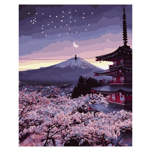 Painting by numbers 40x50 Evening in Japan
