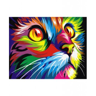 Painting by numbers 40x50 Rainbow cat