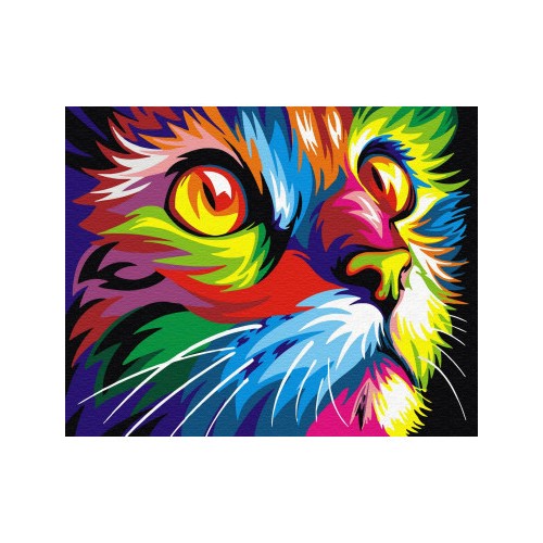 Painting by numbers 40x50 Rainbow cat