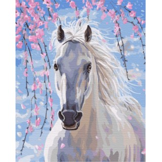 Painting by numbers 40x50 White horse