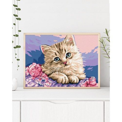 Painting by numbers 40x50 Blue-eyed kitten