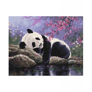 Painting by numbers 40x50 Panda resting