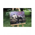 Painting by numbers 40x50 Panda resting