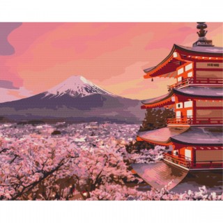 Painting by numbers 40x50 Pink View