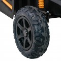 Vehicle Buggy ATV STRONG Racing Gold