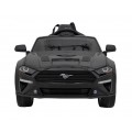 Vehicle Ford Mustang GT Painting Black