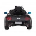 Vehicle Ford Mustang GT Painting Black