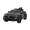 Vehicle Ford Mustang GT Painting Black