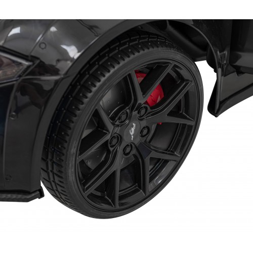 Vehicle Ford Mustang GT Painting Black