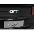 Vehicle Ford Mustang GT Painting Black