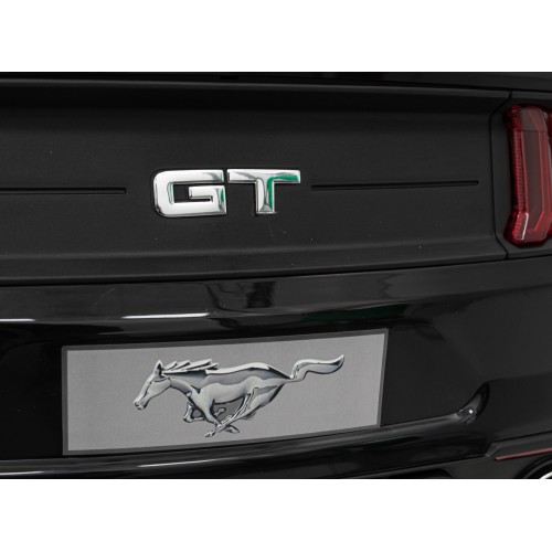 Vehicle Ford Mustang GT Painting Black