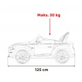 Vehicle Ford Mustang GT Painting Black