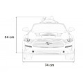 Vehicle Ford Mustang GT Painting Black