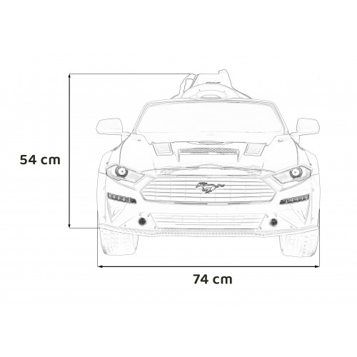 Vehicle Ford Mustang GT Painting Black