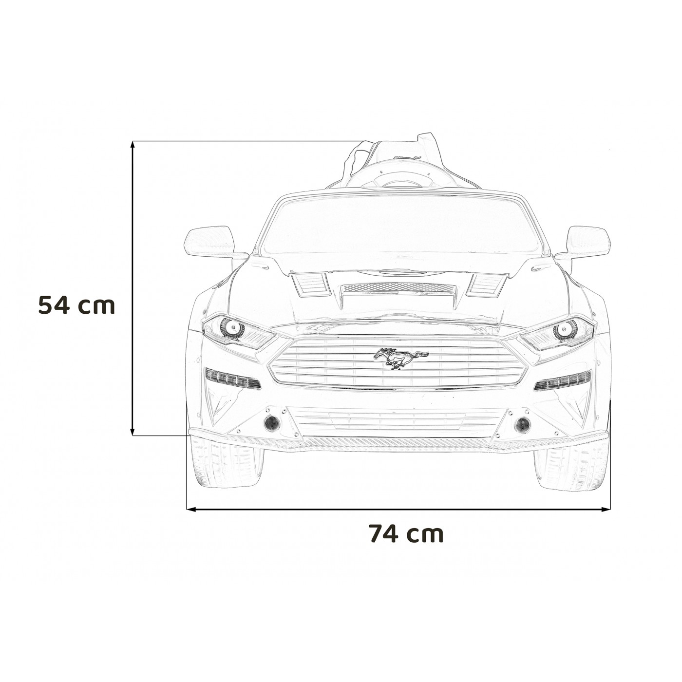 Vehicle Ford Mustang GT Painting Black