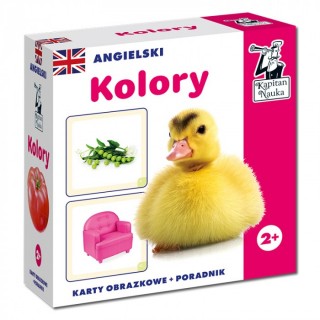 Educational Game "English Colors"