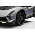 Lamborghini Invencible vehicle Grey