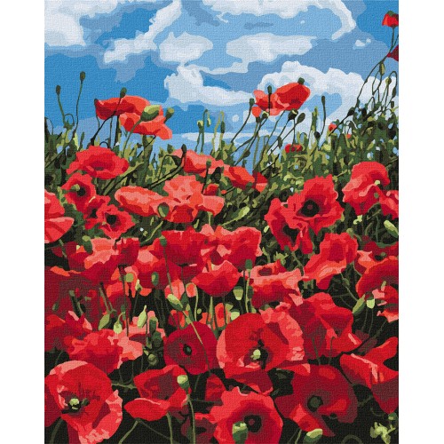 Painting By Numbers Set 40x50cm Amazing Poppies