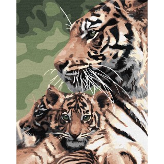Painting By Numbers Set 40x50cm Striped Family