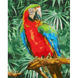 Painting By Numbers set 40x50cm Rainbow Beauty