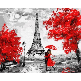 Painting By Numbers set 40x50cm Rainy Paris