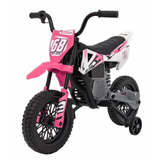 Vehicle Motor PANTONE 361C Pink